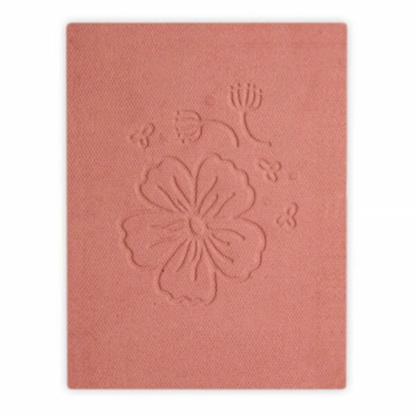 Blush Compact Bio - Recharge 