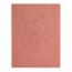 Blush Compact Bio - Recharge
